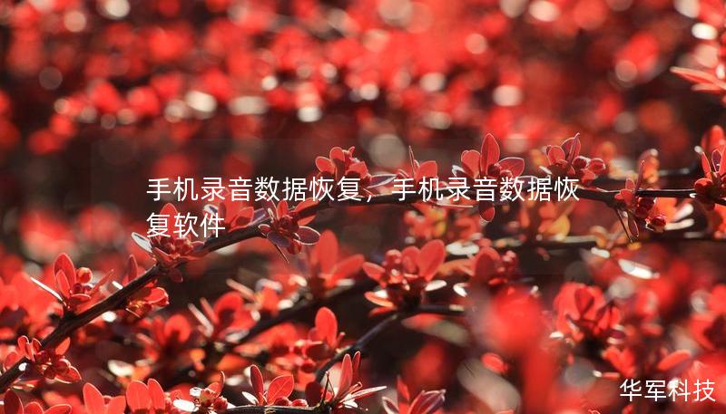 手机录音数据恢复，手机录音数据恢复软件