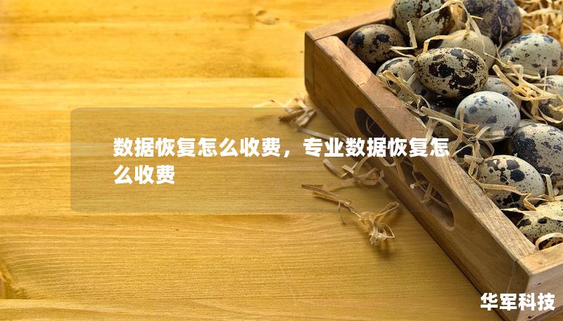 数据恢复怎么收费，专业数据恢复怎么收费
