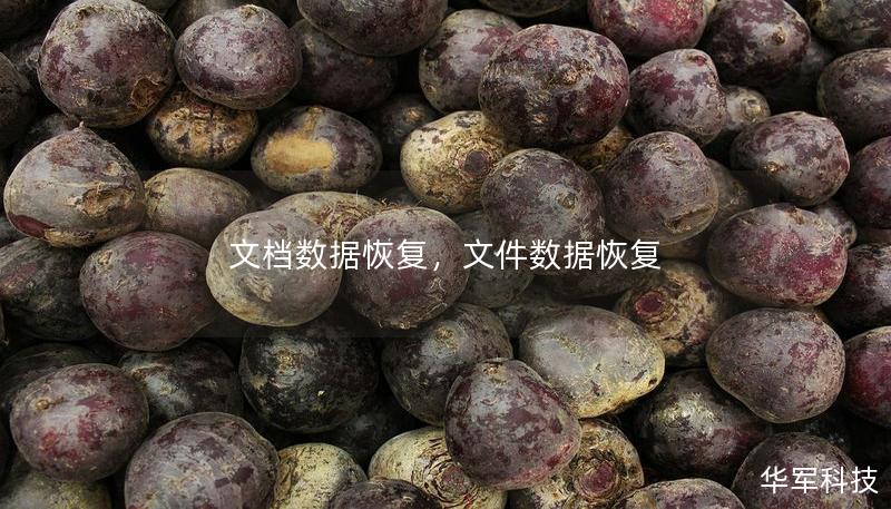 文档数据恢复,文件数据恢复 文档数据恢复,文件数据恢复