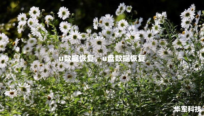 u数据恢复，u盘数据恢复