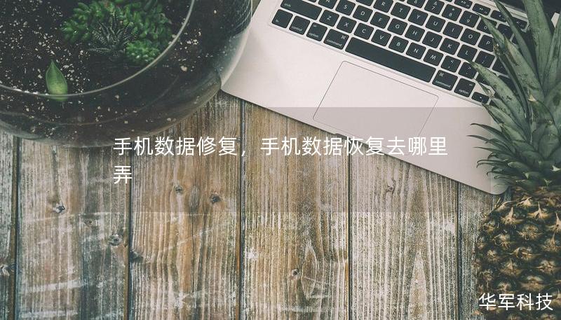手机数据修复,手机数据恢复去哪里弄 手机数据修复,手机数据恢复去哪里弄