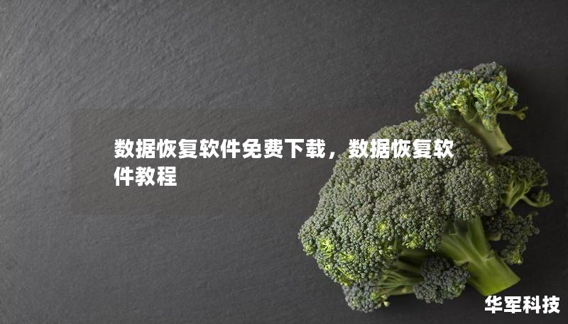 数据恢复软件免费下载,数据恢复软件教程 数据恢复软件免费下载,数据恢复软件教程