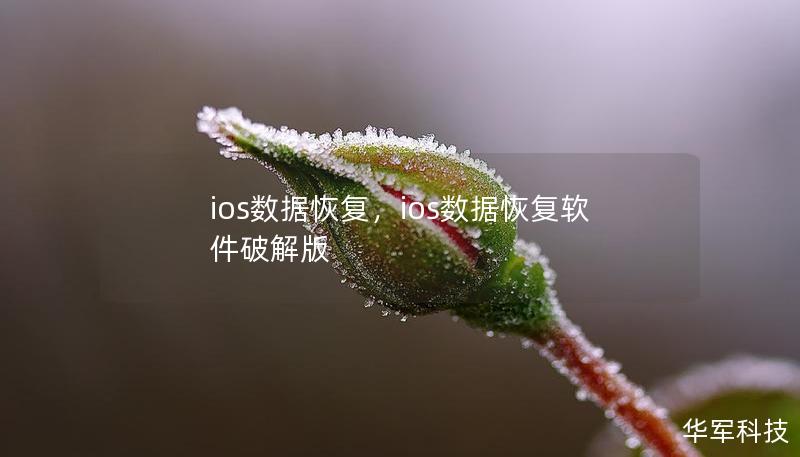 ios数据恢复，ios数据恢复软件破解版
