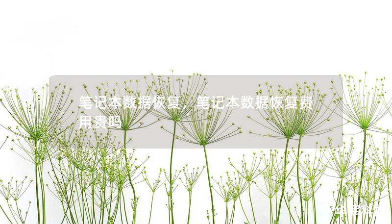 笔记本数据恢复，笔记本数据恢复费用贵吗