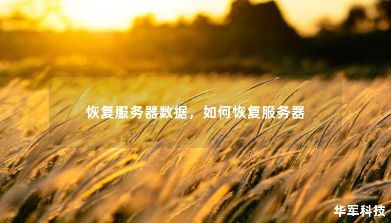 恢复服务器数据,如何恢复服务器 恢复服务器数据,如何恢复服务器