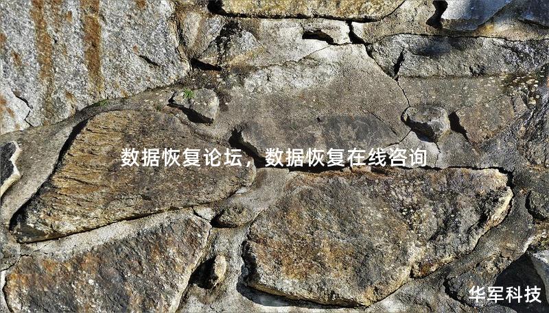 数据恢复论坛,数据恢复在线咨询 数据恢复论坛,数据恢复在线咨询