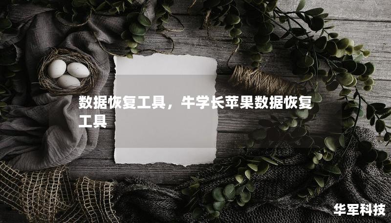 数据恢复工具，牛学长苹果数据恢复工具