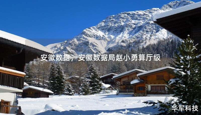 安徽数据，安徽数据局赵小勇算厅级