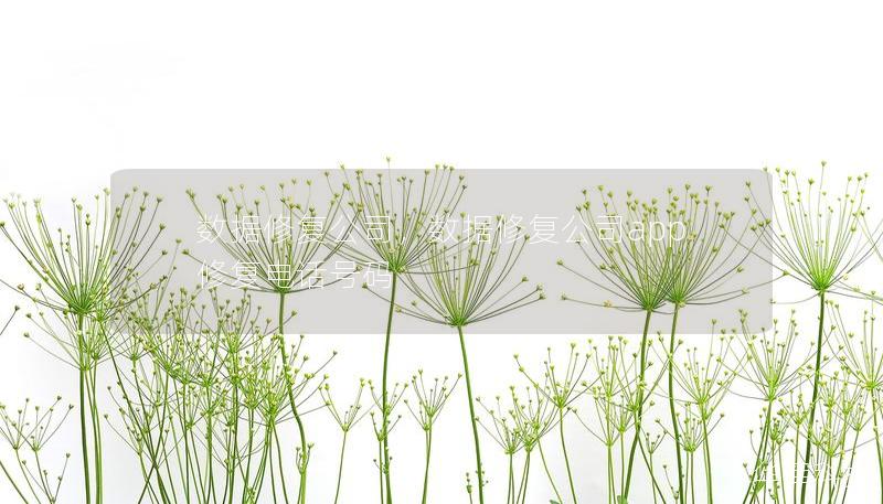 数据修复公司，数据修复公司app修复电话号码