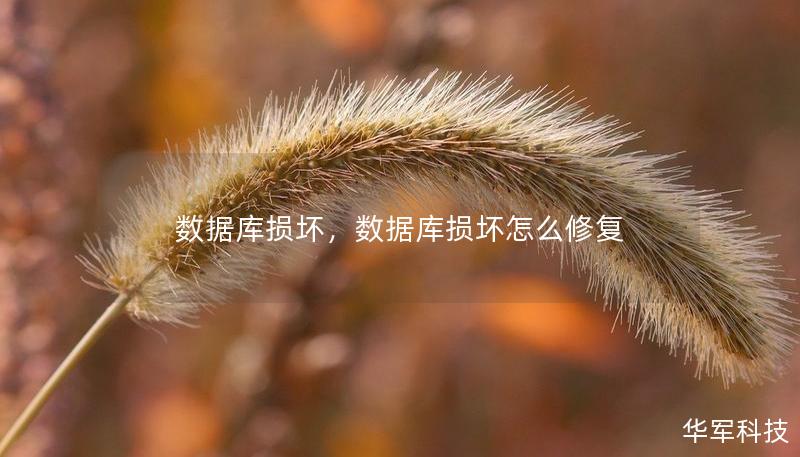 数据库损坏，数据库损坏怎么修复