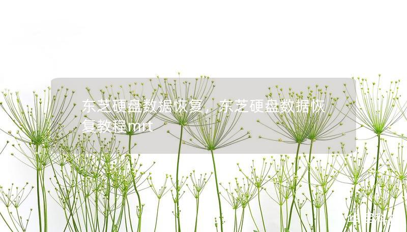 东芝硬盘数据恢复，东芝硬盘数据恢复教程mrt