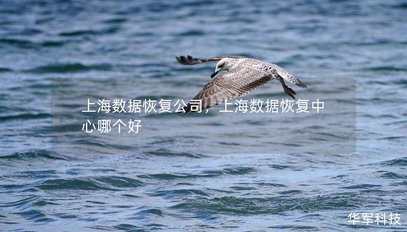 上海数据恢复公司,上海数据恢复中心哪个好 上海数据恢复公司,上海数据恢复中心哪个好
