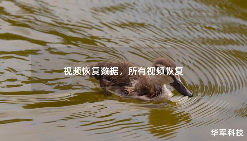 视频恢复数据，所有视频恢复