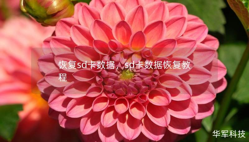 恢复sd卡数据,sd卡数据恢复教程 恢复sd卡数据,sd卡数据恢复教程