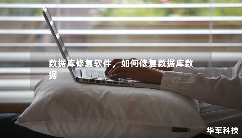 数据库修复软件，如何修复数据库数据