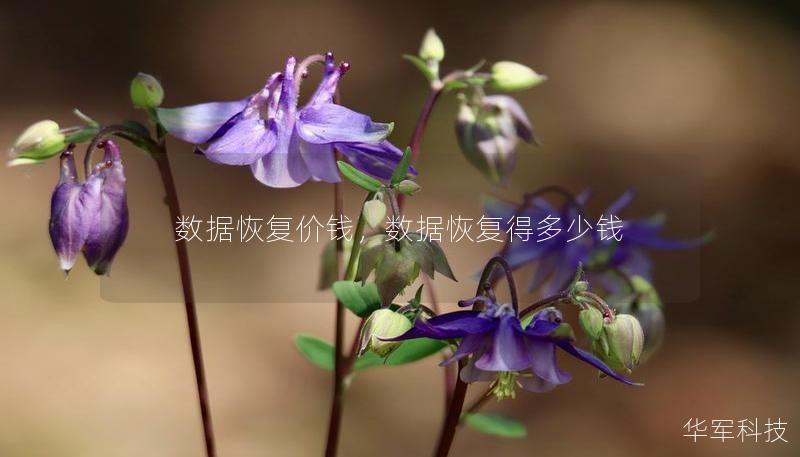 数据恢复价钱，数据恢复得多少钱