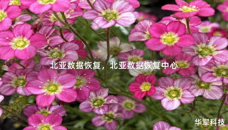 北亚数据恢复，北亚数据恢复中心