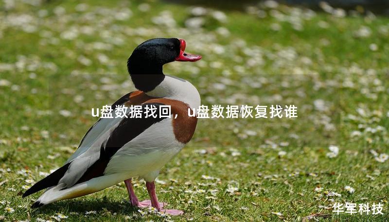 u盘数据找回，u盘数据恢复找谁