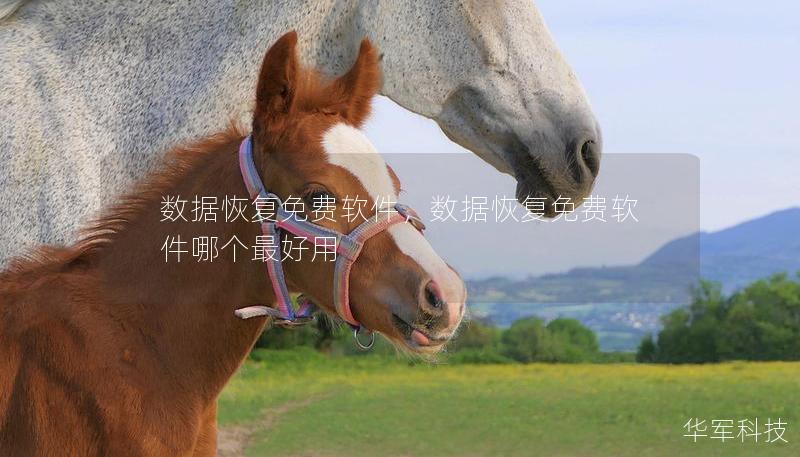 数据恢复免费软件,数据恢复免费软件哪个最好用 数据恢复免费软件,数据恢复免费软件哪个最好用
