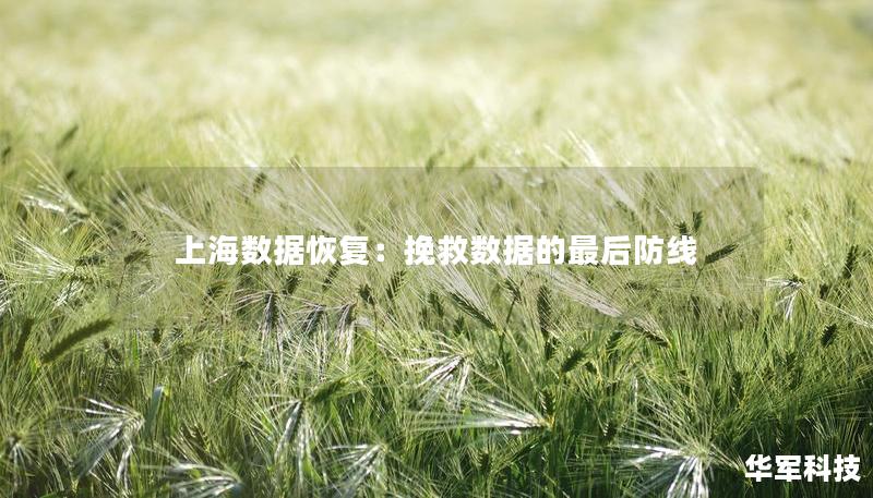 上海数据恢复:挽救数据的最后防线 上海数据恢复:挽救数据的最后防线