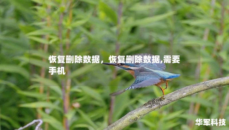 恢复删除数据,恢复删除数据,需要手机 恢复删除数据,恢复删除数据,需要手机