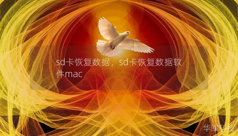 sd卡恢复数据,sd卡恢复数据软件mac sd卡恢复数据,sd卡恢复数据软件mac