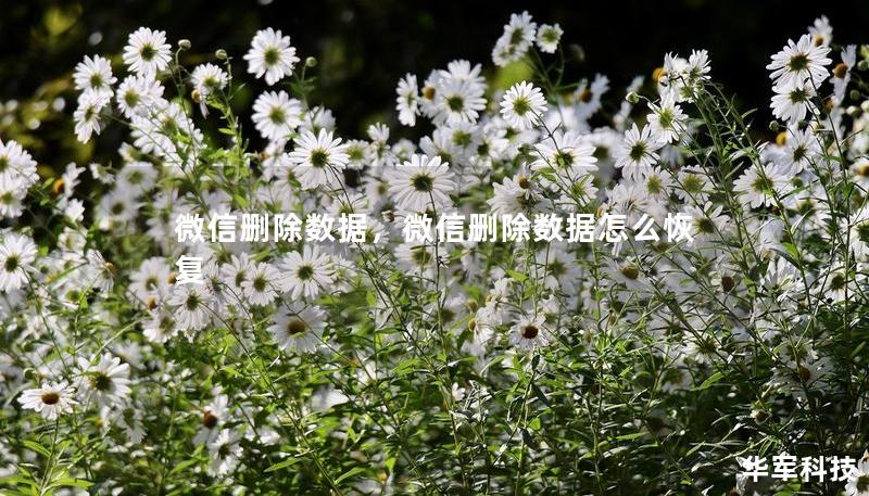 微信删除数据,微信删除数据怎么恢复 微信删除数据,微信删除数据怎么恢复