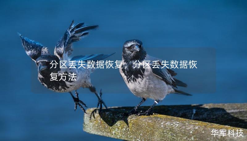 分区丢失数据恢复，分区丢失数据恢复方法