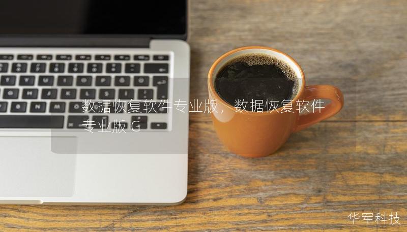 数据恢复软件专业版,数据恢复软件专业版 G 数据恢复软件专业版,数据恢复软件专业版 G