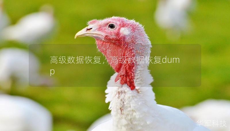 高级数据恢复,高级数据恢复dump 高级数据恢复,高级数据恢复dump