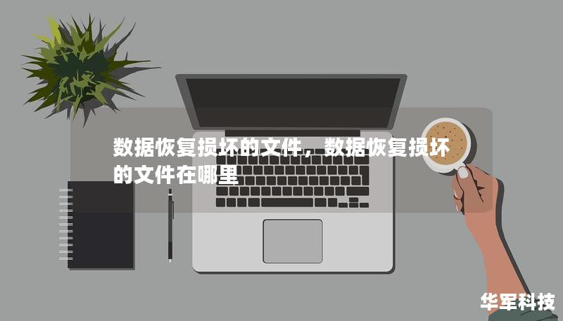 数据恢复损坏的文件，数据恢复损坏的文件在哪里