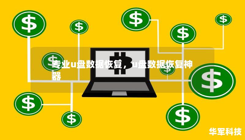 专业u盘数据恢复，u盘数据恢复神器