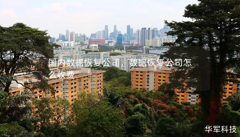 国内数据恢复公司,数据恢复公司怎么收费 国内数据恢复公司,数据恢复公司怎么收费