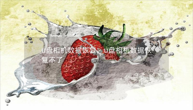 u盘相机数据恢复,u盘相机数据恢复不了 u盘相机数据恢复,u盘相机数据恢复不了