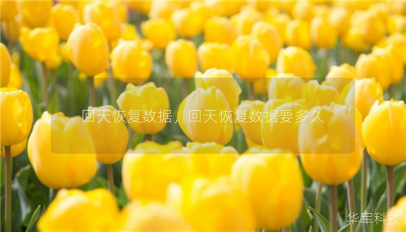 回天恢复数据，回天恢复数据要多久