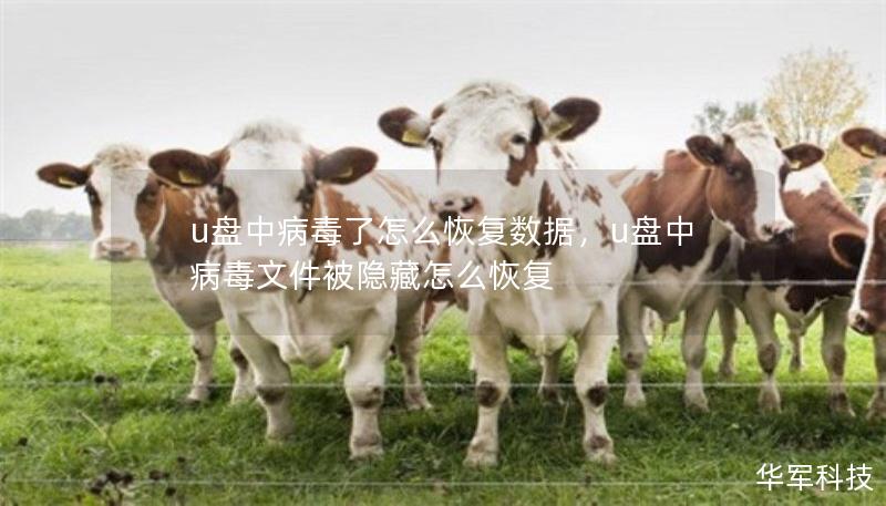 u盘中病毒了怎么恢复数据,u盘中病毒文件被隐藏怎么恢复 u盘中病毒了怎么恢复数据,u盘中病毒文件被隐藏怎么恢复