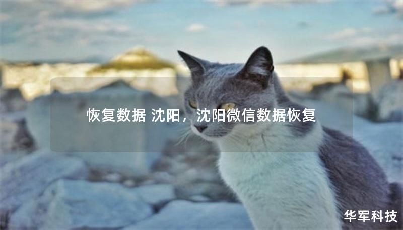 恢复数据 沈阳,沈阳微信数据恢复 恢复数据 沈阳,沈阳微信数据恢复