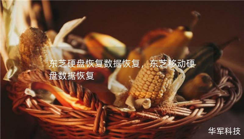 东芝硬盘恢复数据恢复,东芝移动硬盘数据恢复 东芝硬盘恢复数据恢复,东芝移动硬盘数据恢复