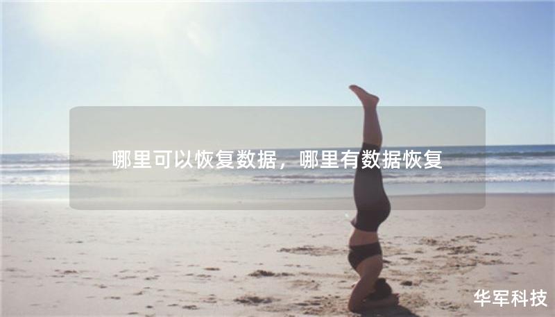 哪里可以恢复数据,哪里有数据恢复 哪里可以恢复数据,哪里有数据恢复
