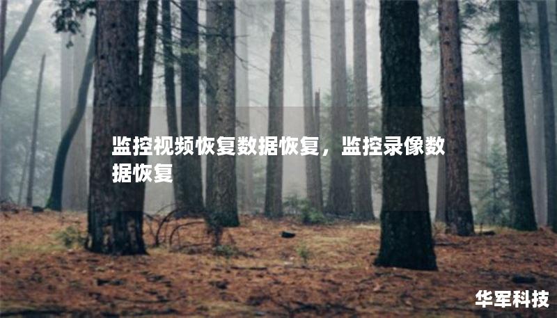 监控视频恢复数据恢复,监控录像数据恢复 监控视频恢复数据恢复,监控录像数据恢复