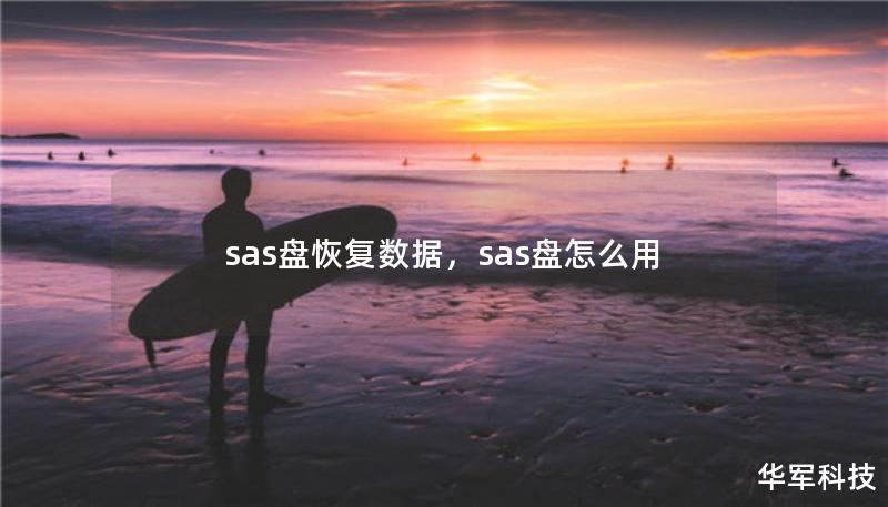 sas盘恢复数据,sas盘怎么用 sas盘恢复数据,sas盘怎么用