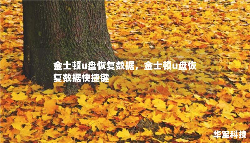 金士顿u盘恢复数据,金士顿u盘恢复数据快捷键 金士顿u盘恢复数据,金士顿u盘恢复数据快捷键