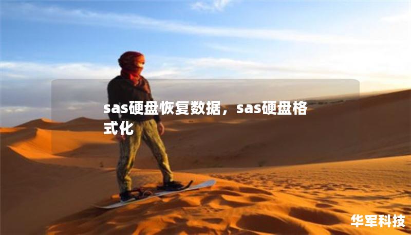 sas硬盘恢复数据,sas硬盘格式化 sas硬盘恢复数据,sas硬盘格式化