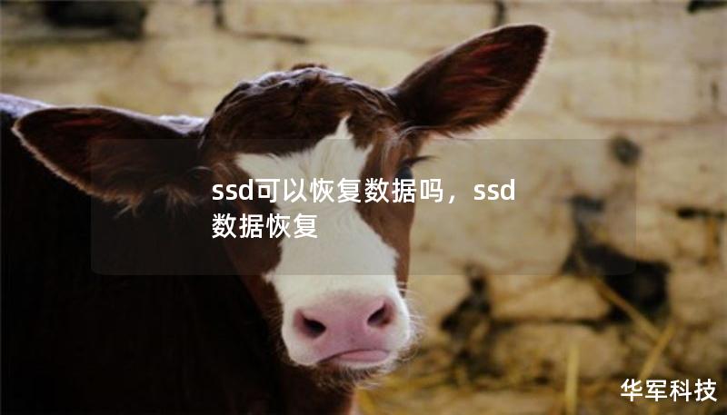 ssd可以恢复数据吗,ssd 数据恢复 ssd可以恢复数据吗,ssd 数据恢复