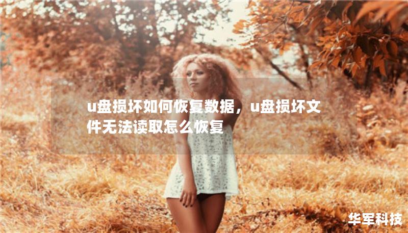 u盘损坏如何恢复数据，u盘损坏文件无法读取怎么恢复