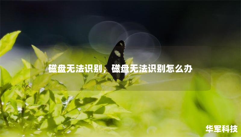 磁盘无法识别，磁盘无法识别怎么办