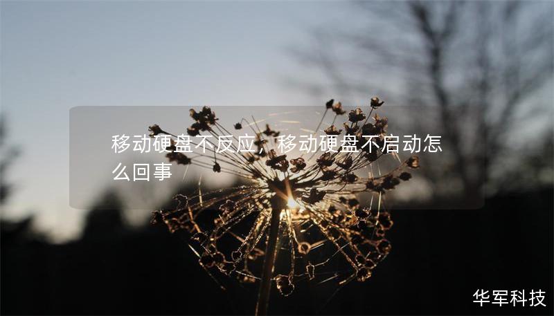 移动硬盘不反应,移动硬盘不启动怎么回事 移动硬盘不反应,移动硬盘不启动怎么回事