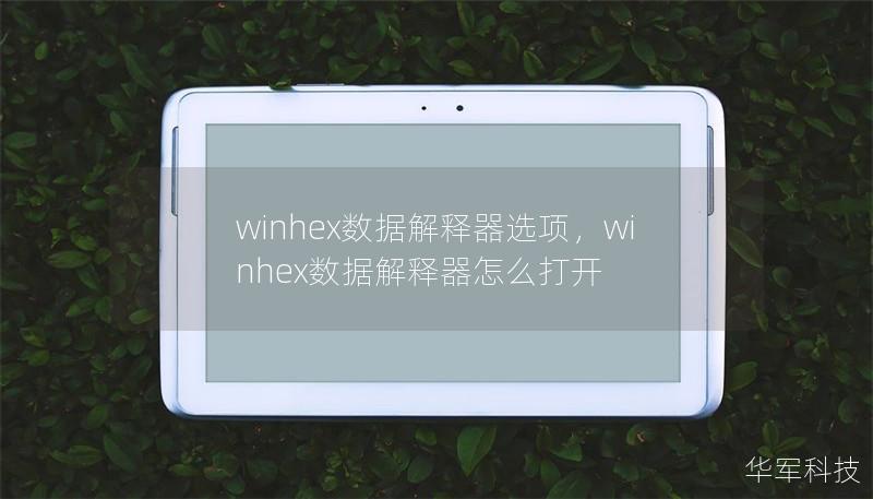 winhex数据解释器选项，winhex数据解释器怎么打开