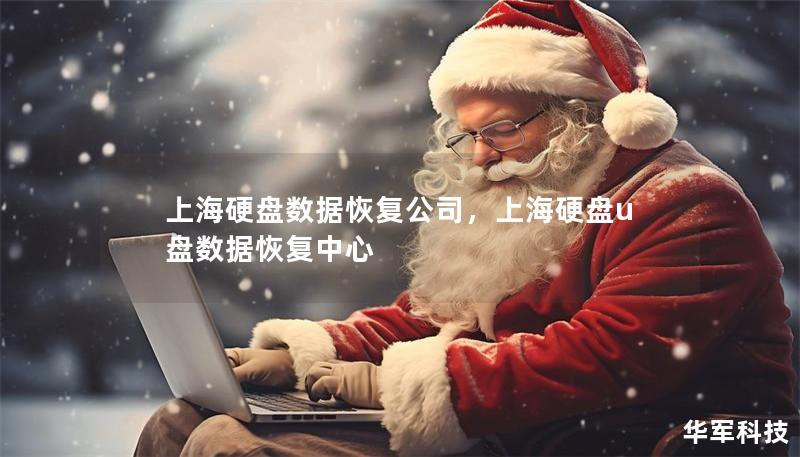 上海硬盘数据恢复公司,上海硬盘u盘数据恢复中心 上海硬盘数据恢复公司,上海硬盘u盘数据恢复中心