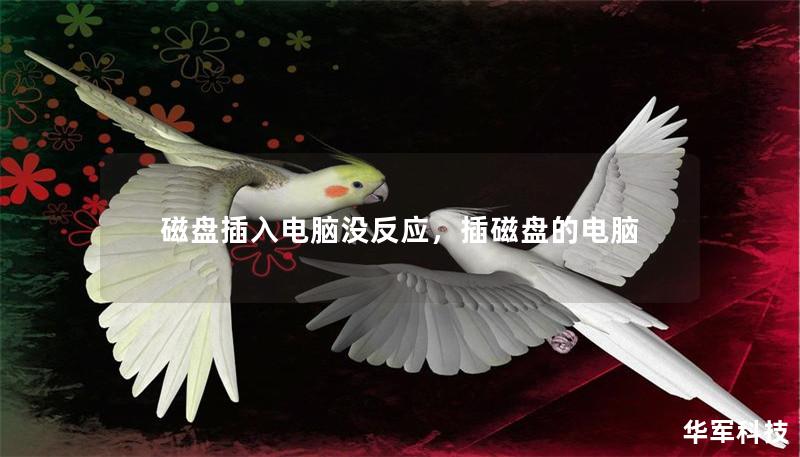 磁盘插入电脑没反应，插磁盘的电脑